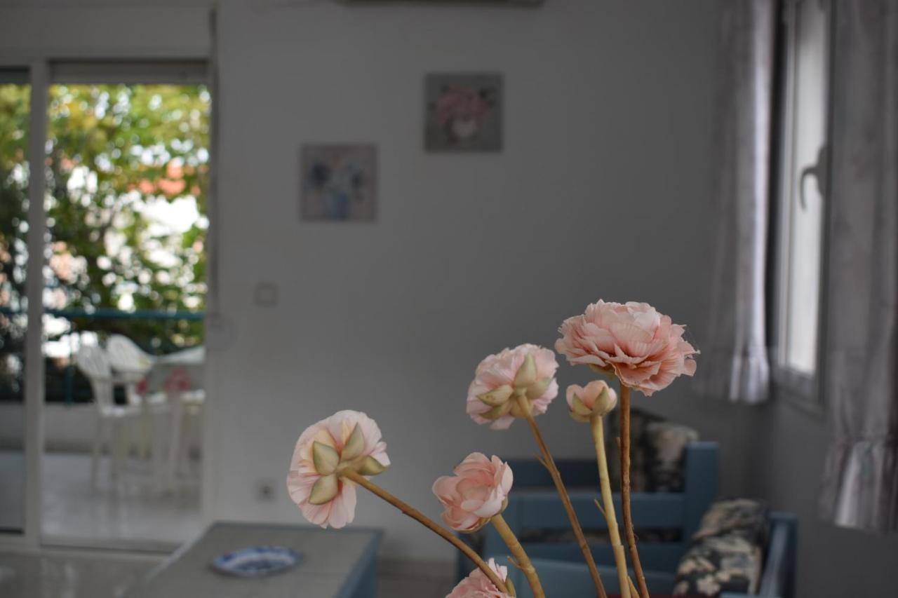 Niki Apartments Полихроно Экстерьер фото